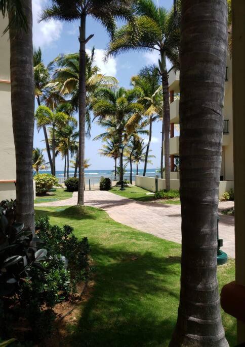 1St Level Unit Steps To Beach- Cold Air Conditioner At Poza Del Mar Luquillo Esterno foto